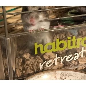 Meet your Posher, Vi